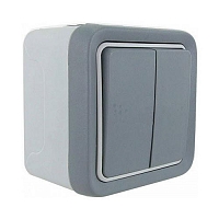 Выключатель двухклавишный Plexo IP55