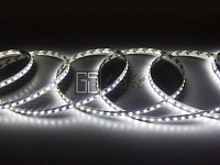 Лента GS LED 2835 9,6Вт/м 24В - холодный белый