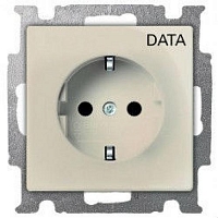 Розетка с заземлением с с маркировкой DATA Basic 55 - слоновая кость